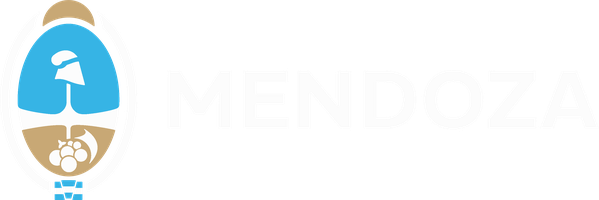 Gobierno de Mendoza
